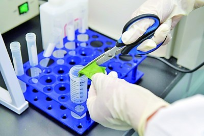 قابل اعتماد بیکٹیریل شناخت بیبیو کی گرام اسٹین کٹ کے ساتھ آسان بنائی گئی ہے