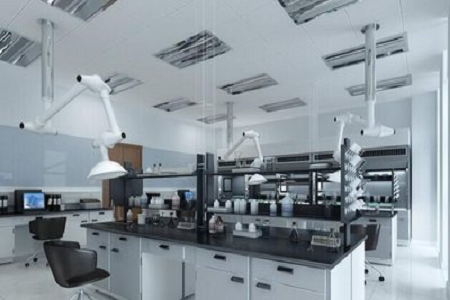 تیز رفتار بیکٹیریا کے لئے اعلی معیار کے جی سی ایگر بیس-بابیو