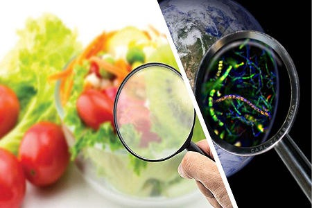 BABIO نے گلوبل فوڈ سیفٹی کنٹرول کے لیے Aflatoxin B1 ریپڈ ٹیسٹ کیسٹ کا آغاز کیا