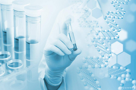 H. pylori IgG/IgM ٹیسٹ کٹ: ریپڈ اینٹی باڈی اسکریننگ سلوشن