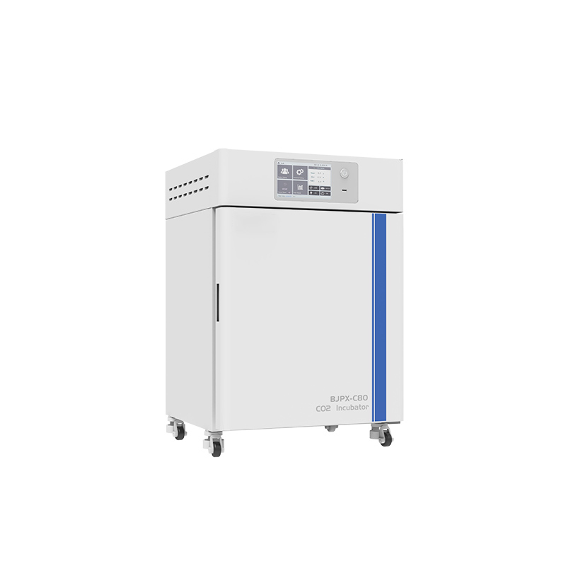 CO2 انکیوبیٹر BJPX-C50 BJPX-C80 BJPX-C160 BJPX-C80S BJPX-C160S