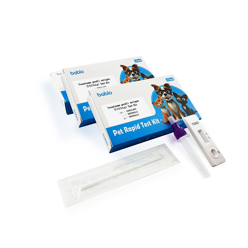 Toxoplasma gondii antigen (TOXO Ag) ٹیسٹ کٹ